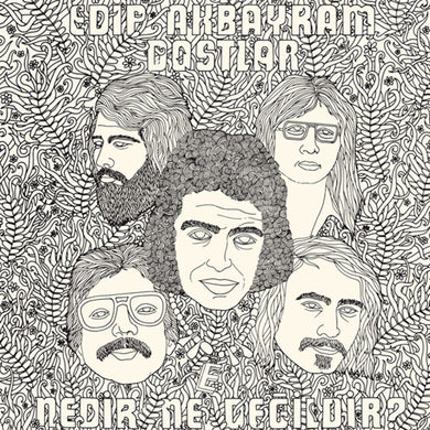 Edip Akbayram, Dostlar : Nedir Ne Değildir? (LP, Album, RE, RM)