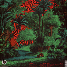 Load image into Gallery viewer, Francis Bebey : Psychedelic Sanza 1982 - 1984 (2xLP, Comp)