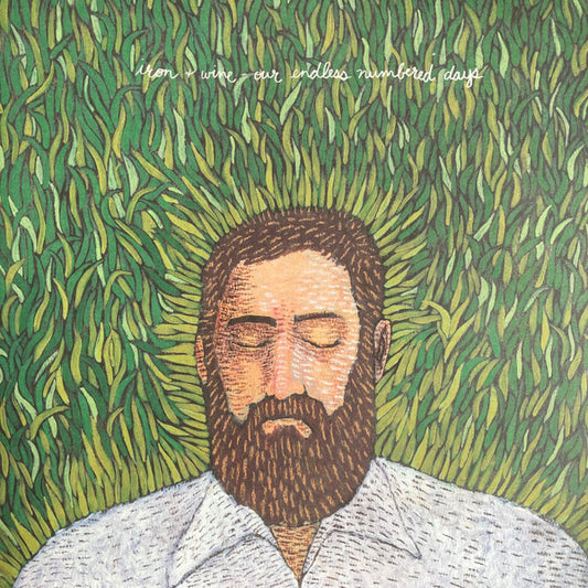 Iron & Wine - Our Endless Numbered Days